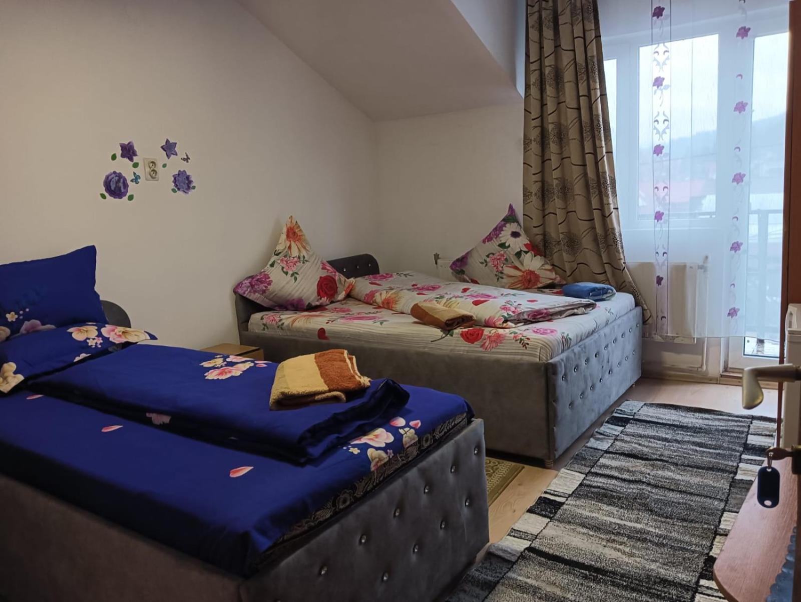 Отель Casa Emilia Ватра-Дорней Экстерьер фото